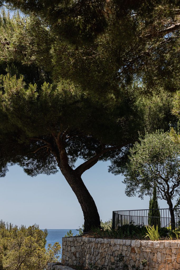 Extérieur avec ancien mur en pierre et végétation méditerranéenne, maison à Cassis
